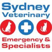 Sydney Veterinary Emergency & Specialists image 1