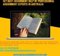 Online Assignment Expert image 1