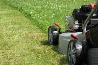 Lawn Mowing Gilles Plains - Fox Mowing SA image 7