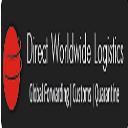 Direct Worldwide Logistics logo