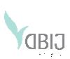 DBIJ Finance Pty Ltd logo