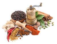 The Spice Mill image 12