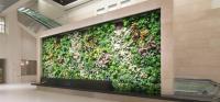 Atmosphy – Green Wall Systems & Vertical Gardens image 2