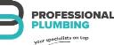 Professional Plumbing logo