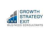 GSE Business Consultants image 2