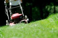 lawn mowing service cairns image 2