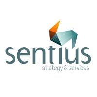 Marketing Firm Melbourne - Sentius Strategy image 1