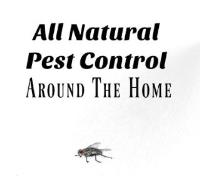 Parra Pest Control image 2