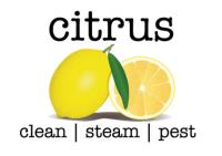 Citrus Clean Steam Pest image 6