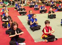 Chinese Kung Fu and Tai Chi Academy image 6