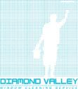 Diamond Valley Window Cleaning Service logo