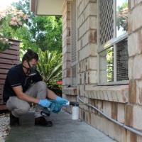 Rodent Control Sorrento image 1