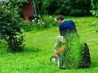 Lawn Mowing Businesses image 1