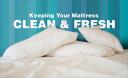 Fresh Mattress Cleaning logo