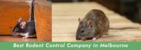 My Home Pest Control image 4