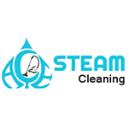 Ace Steam Cleaning logo