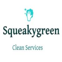 Squeaky Green Clean Team image 1