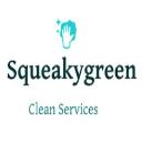 Squeaky Green Clean Team logo