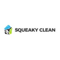 Squeaky Clean Carpet image 20