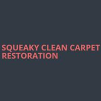 Squeaky Clean Carpet Restoration image 5
