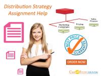 Distribution Strategy Assignment Help by Expert image 1