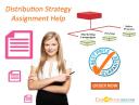 Distribution Strategy Assignment Help by Expert logo