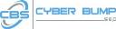 Hobart SEO | Cyber Bump SEO logo