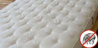 SK Mattress Cleaning image 1