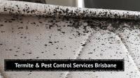 Impressive Pest Control image 4