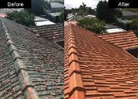 Roof Restoration Frankston image 4