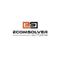 Web Development Company in Jaipur - Ecomsolver image 1