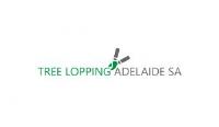 Tree Lopping Adelaide image 1