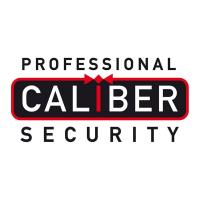 Professional Caliber Security image 6