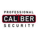 Professional Caliber Security logo