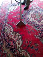 Northern Beaches Carpet Cleaning image 6