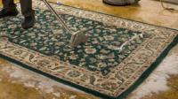 Northern Beaches Carpet Cleaning image 5