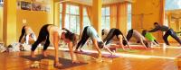 AYM Yoga Teacher Training image 2