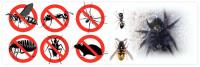 Pest Ban image 5