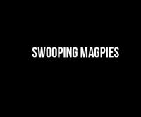Swooping Magpies image 1