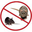 Rat Control Perth logo