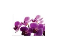 Blue Orchid Accounting image 1