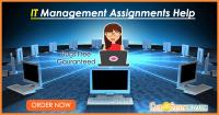 Best IT Management Assignment Help image 2