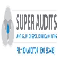 Super Audits image 1