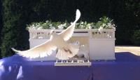 White Dove Funeral Care image 5
