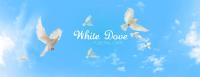White Dove Funeral Care image 6