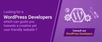 Website Developers India Pvt. Ltd. image 5