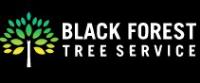Black Forest Tree Service image 5