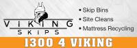 Viking Skips image 3