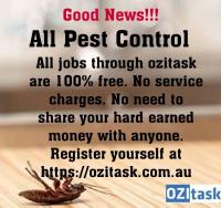 Get Task Done by an Expert - OZITASK PTY LTD image 5