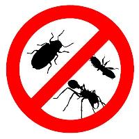 Professional Pest Control Melbourne image 2